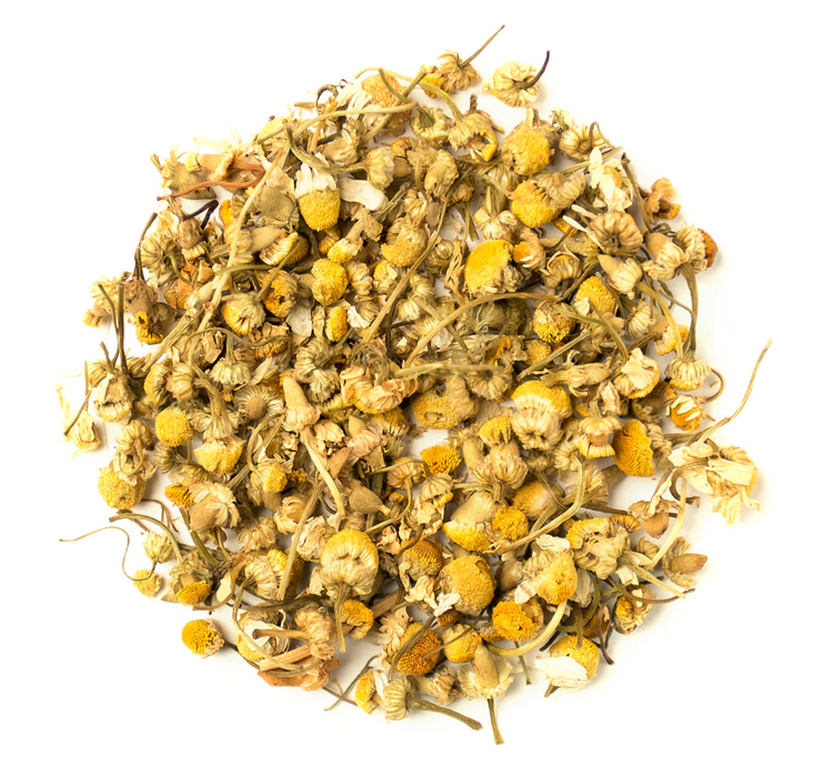 Croation Chamomile